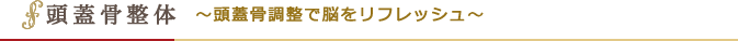 頭蓋骨整体　～頭蓋骨調整で脳をリフレッシュ～