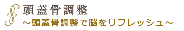 頭蓋骨整体　～頭蓋骨調整で脳をリフレッシュ～